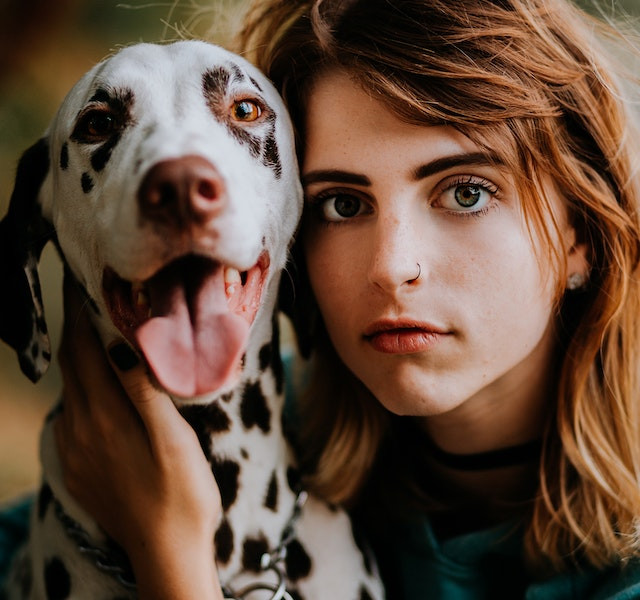 ¿Qué sucede con mi mascota si me voy a divorciar o separar?