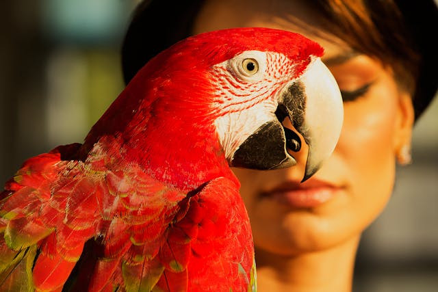 ¿Existe pensión para las mascotas en caso de divorcio de la pareja?
