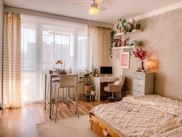 ¿Cómo alquilar una habitación y no morir en el intento?